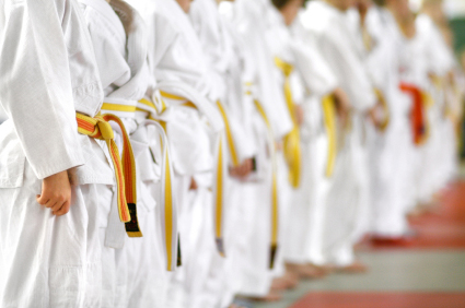 Martial Arts Insurance in All of Texas